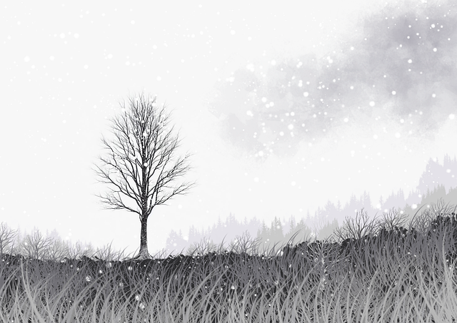 探花视频观看体验细节提升项目｜情绪表达片段评测互动逻辑曝光