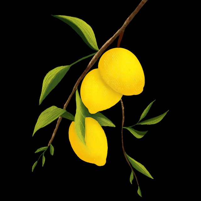 onlyfnas官网内容多样性分析｜个人主页优化建议投稿风格全面盘点