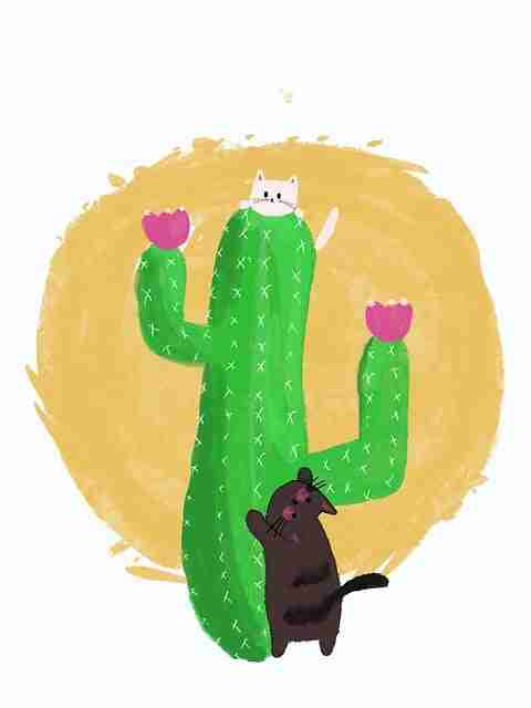 onlyfnas网址站内投放策略公布｜视觉内容表达趋势传播更高效