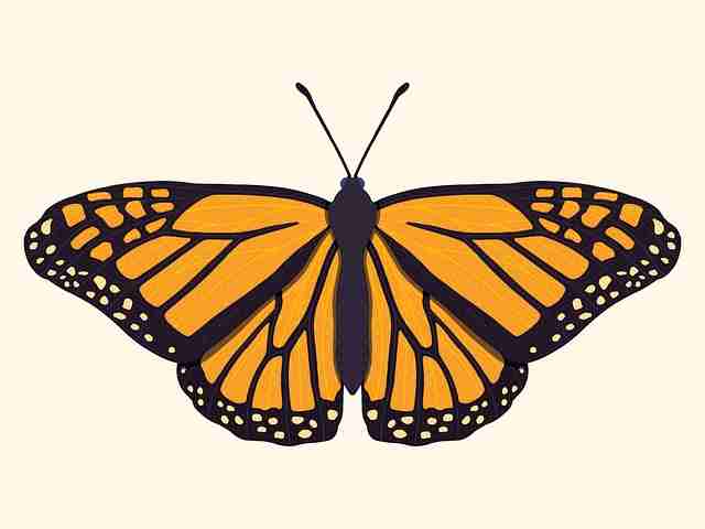 蘑菇影视在线观看用户转化路径优化报告｜热度内容来源分析新增行为模型