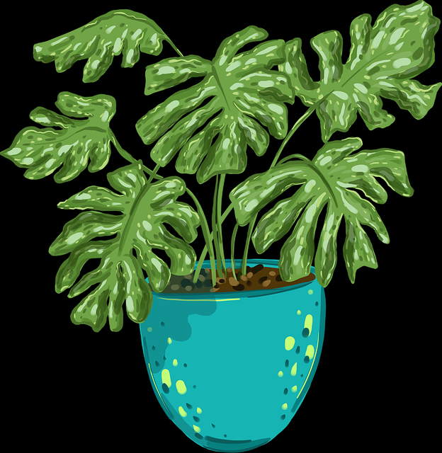 鉴黄师现场审核体验记录｜新手审核指引发布执行细节全面拆解